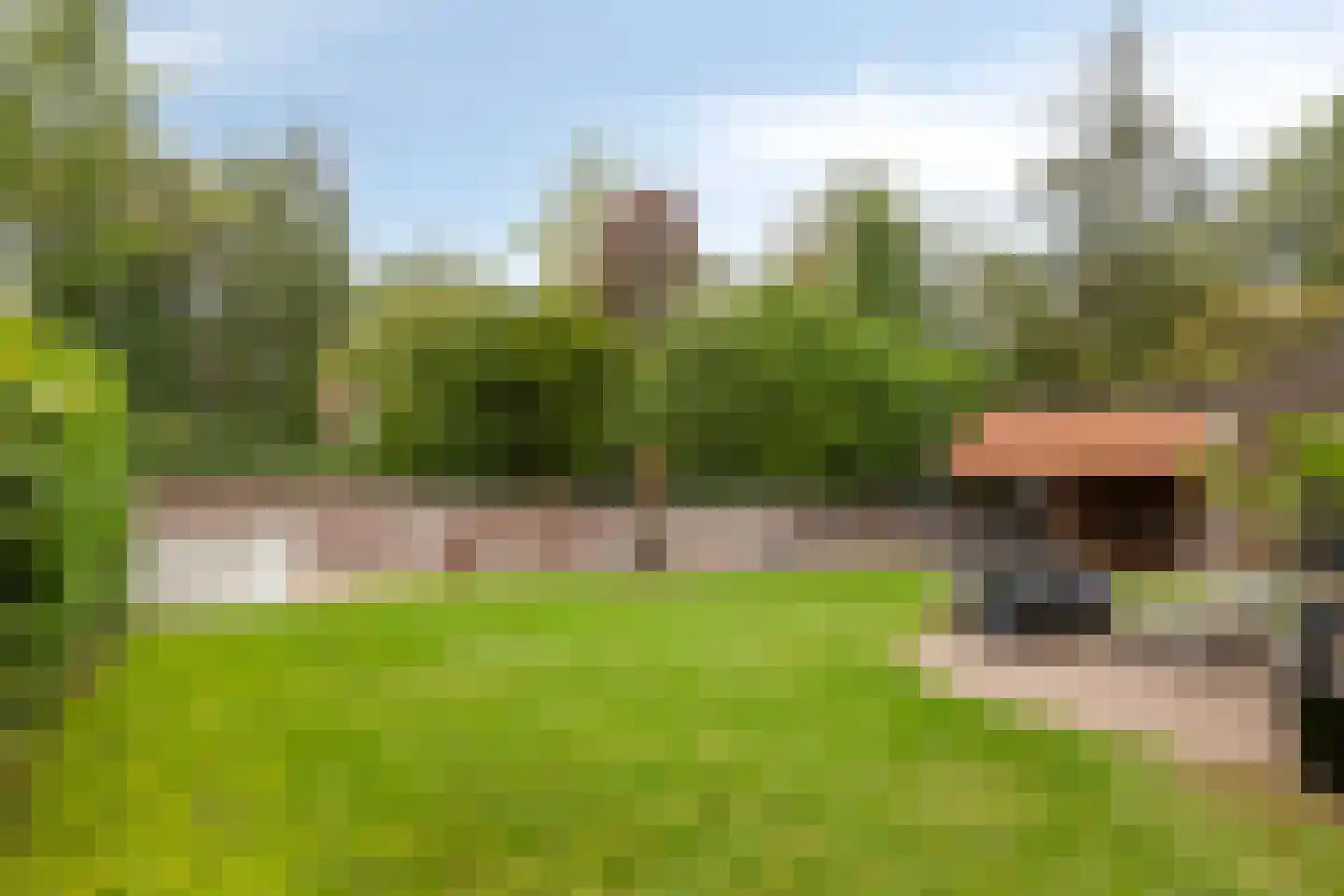 Meekertweg 8 35 Winterswijk thumbnail 36