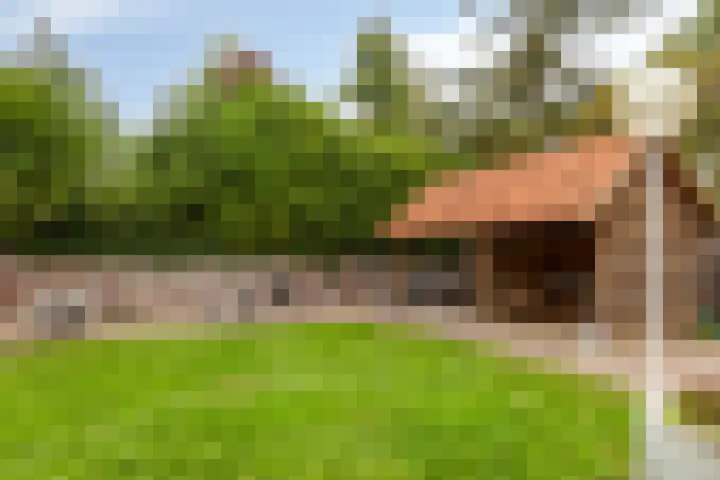 Meekertweg 8 35 Winterswijk thumbnail 37