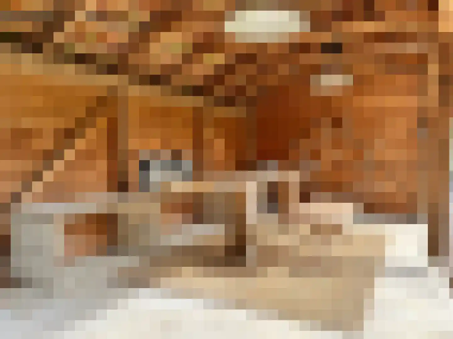 Meekertweg 8 35 Winterswijk thumbnail 39