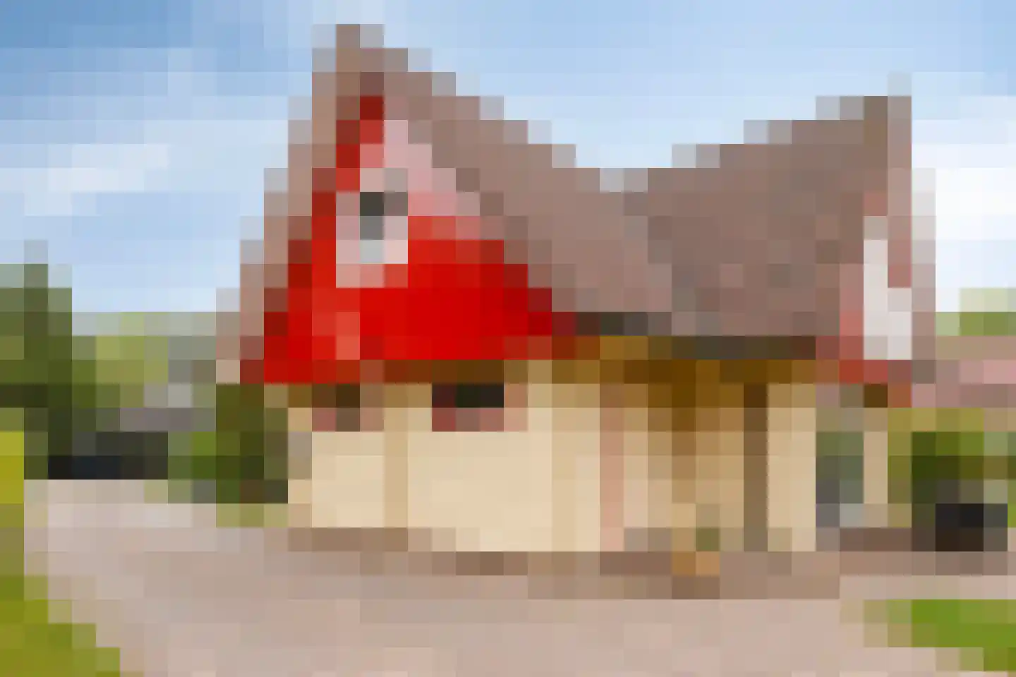Meekertweg 8 35 Winterswijk thumbnail 4