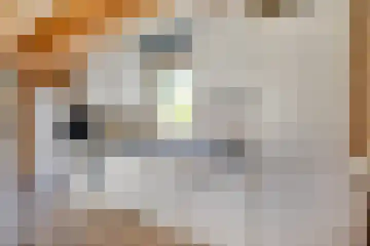 Meekertweg 8 37 Winterswijk thumbnail 12