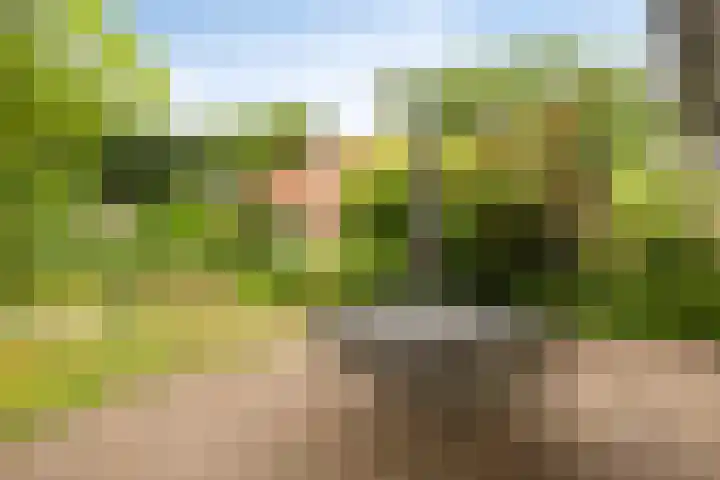 Meekertweg 8 37 Winterswijk thumbnail 28