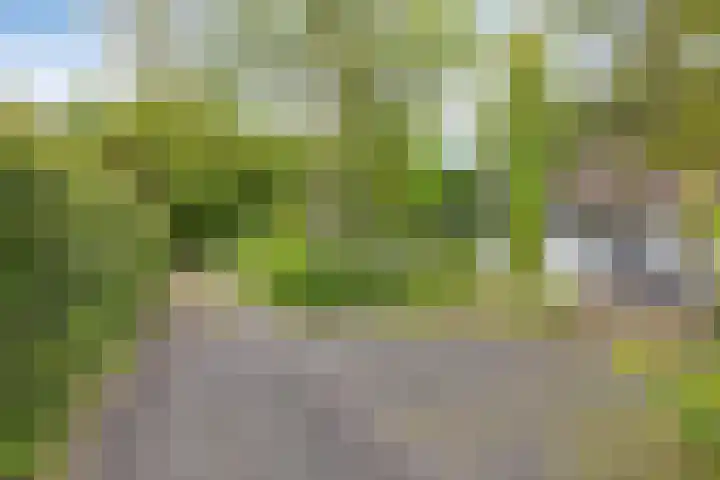 Meekertweg 8 37 Winterswijk thumbnail 30
