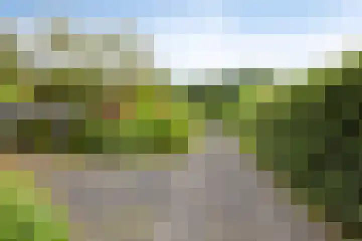 Meekertweg 8 37 Winterswijk thumbnail 31