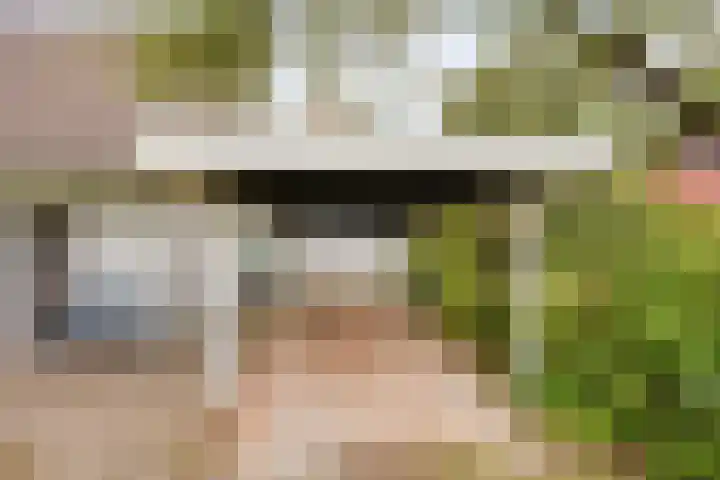 Meekertweg 8 37 Winterswijk thumbnail 4
