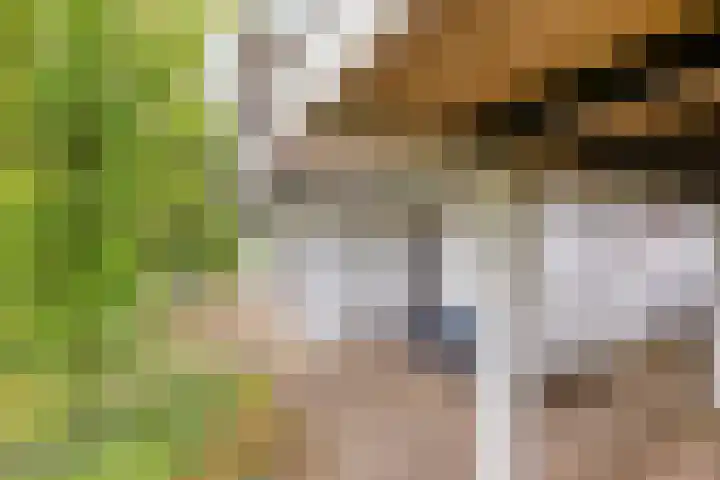Meekertweg 8 37 Winterswijk thumbnail 5