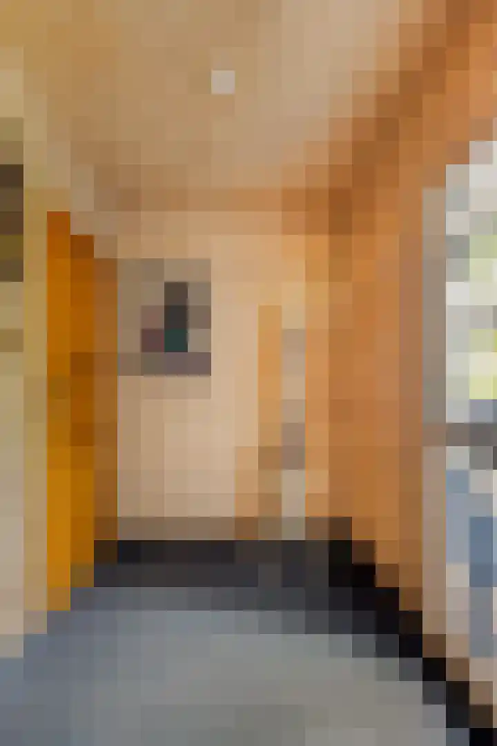Meekertweg 8 37 Winterswijk thumbnail 6