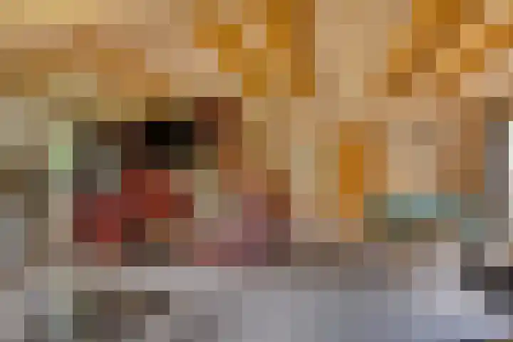 Meekertweg 8 37 Winterswijk thumbnail 9