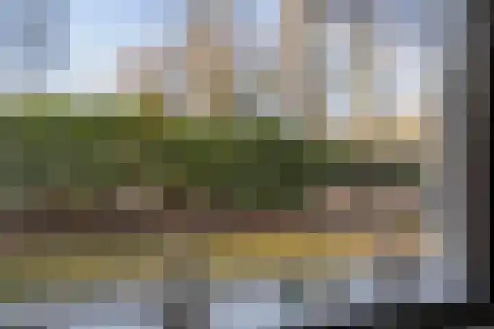Meekertweg 8 42 Winterswijk thumbnail 15