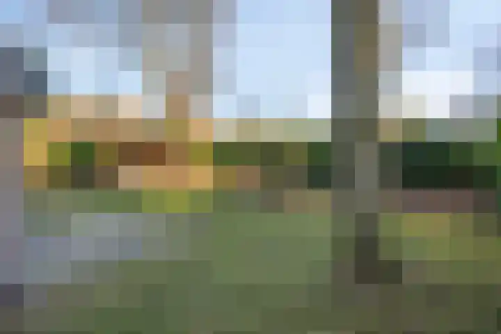 Meekertweg 8 42 Winterswijk thumbnail 24