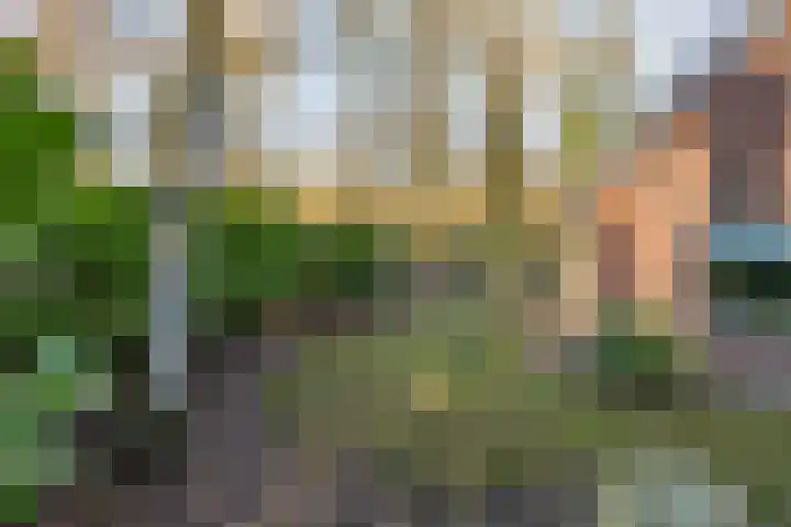 Meekertweg 8 42 Winterswijk thumbnail 4