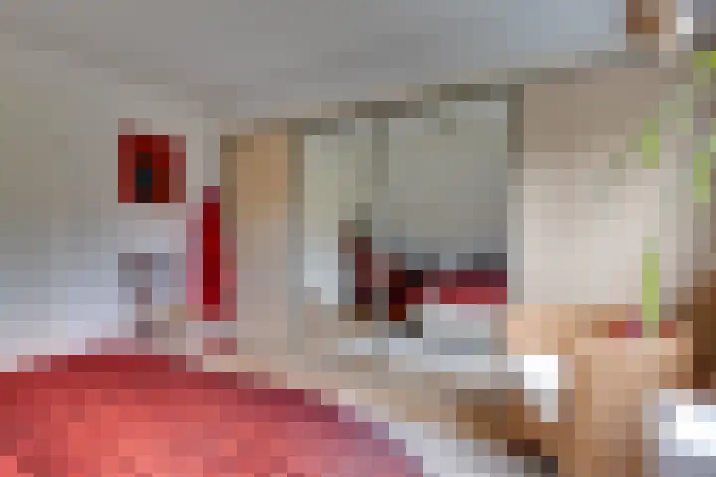 Meekertweg 8 56 Winterswijk thumbnail 23