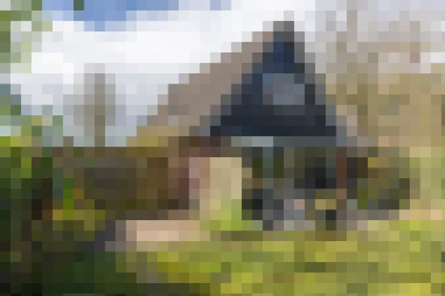 Meekertweg 8 56 Winterswijk thumbnail 33