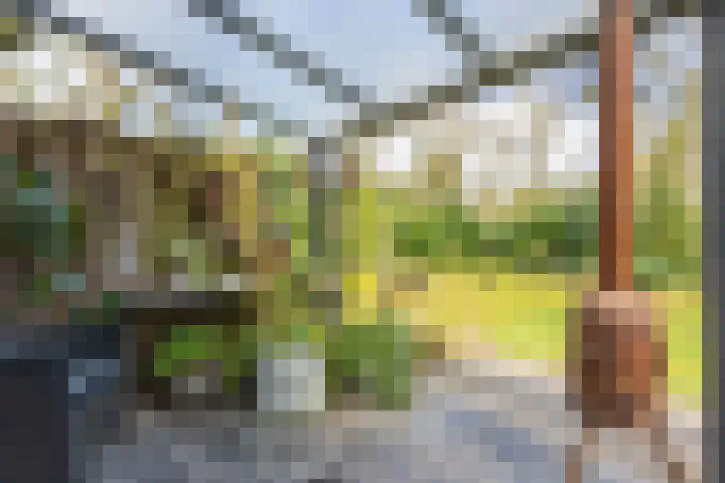 Meekertweg 8 56 Winterswijk thumbnail 38
