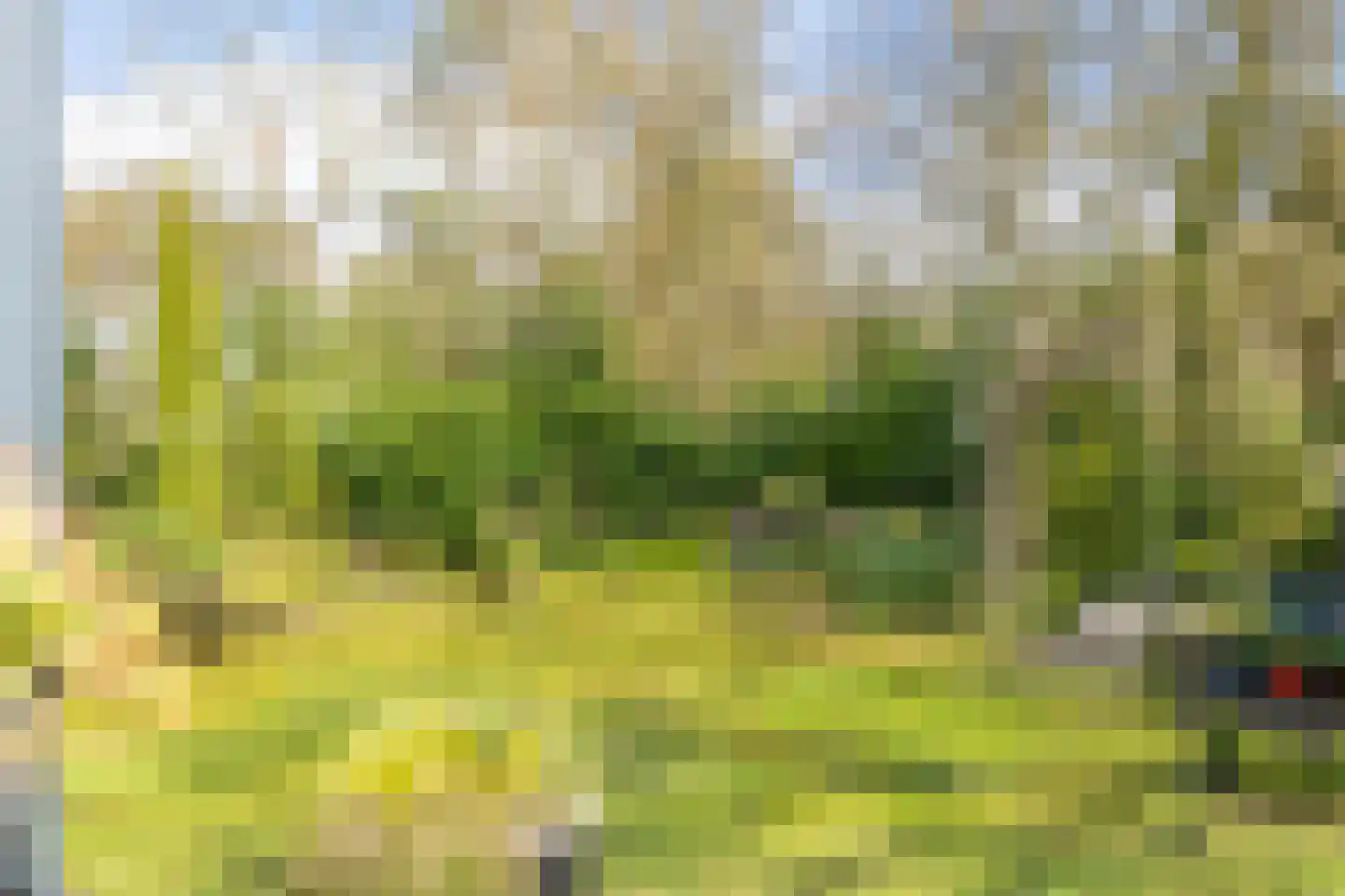 Meekertweg 8 56 Winterswijk thumbnail 39