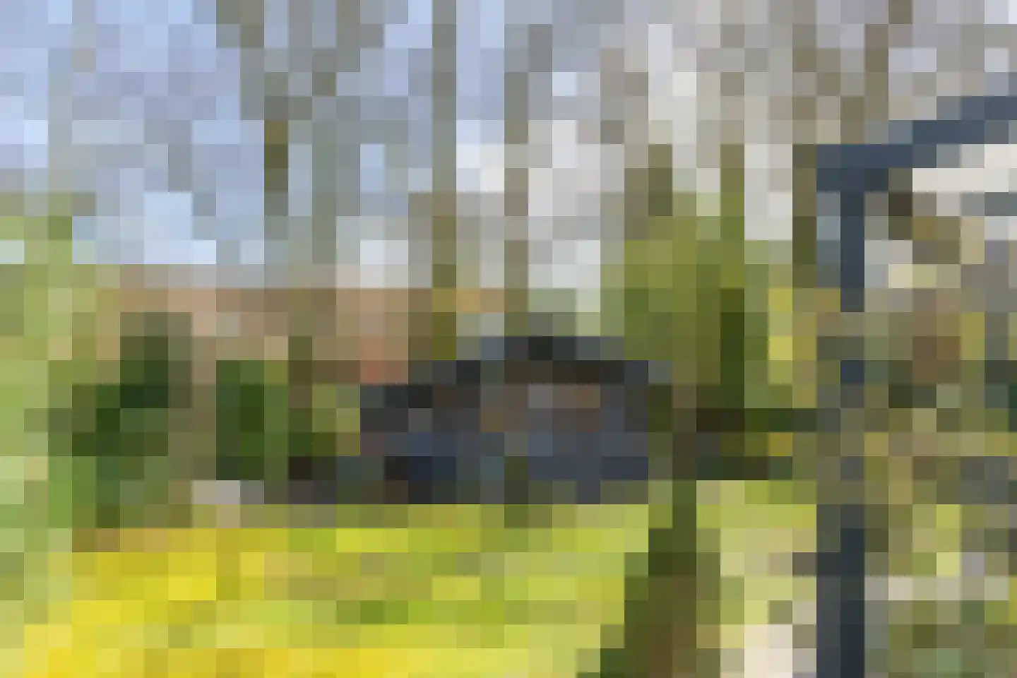 Meekertweg 8 56 Winterswijk thumbnail 41