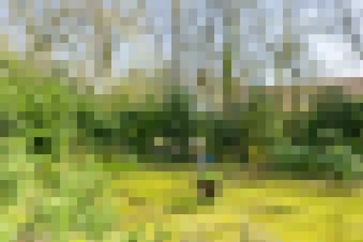 Meekertweg 8 56 Winterswijk thumbnail 43