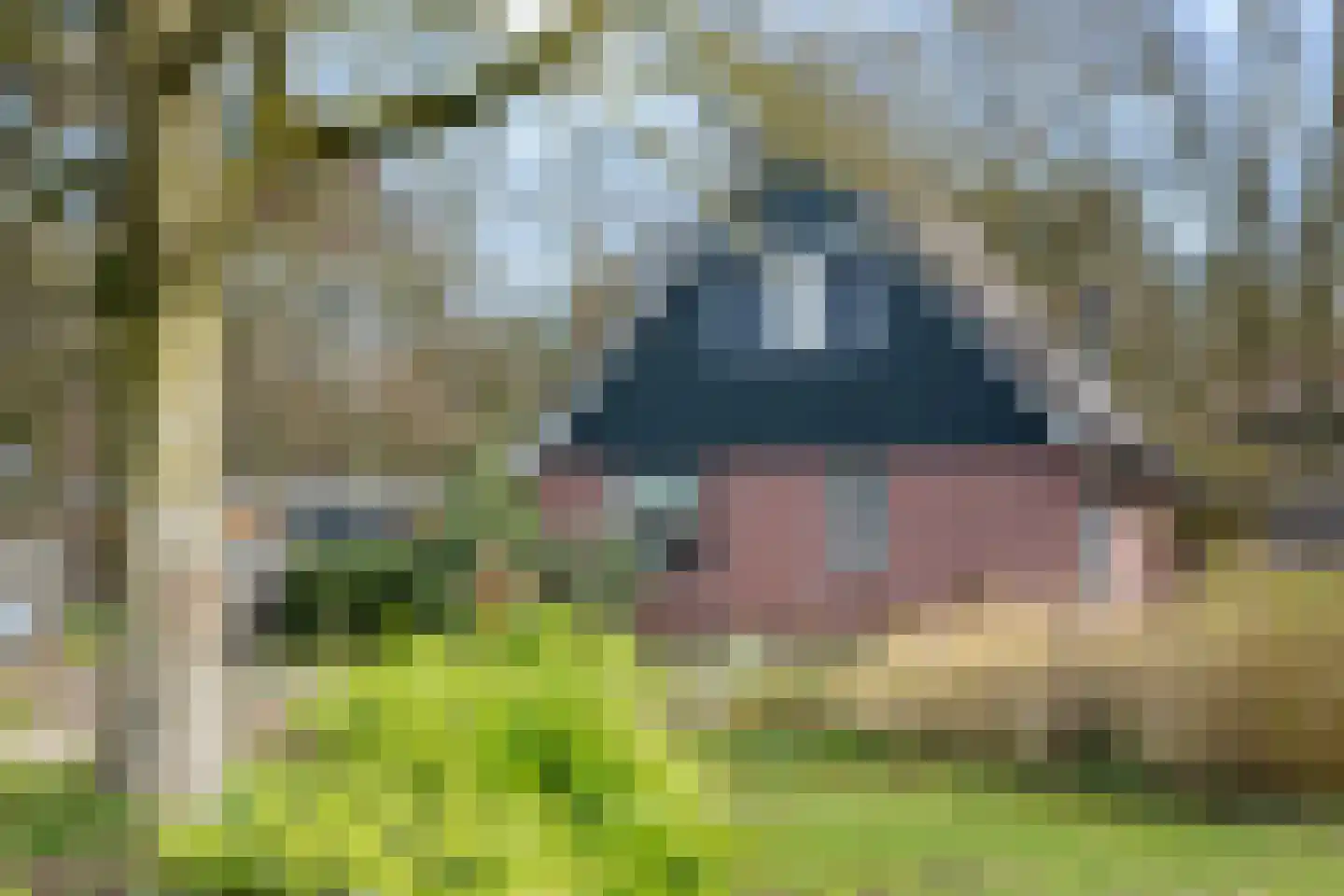 Meekertweg 8 56 Winterswijk thumbnail 44