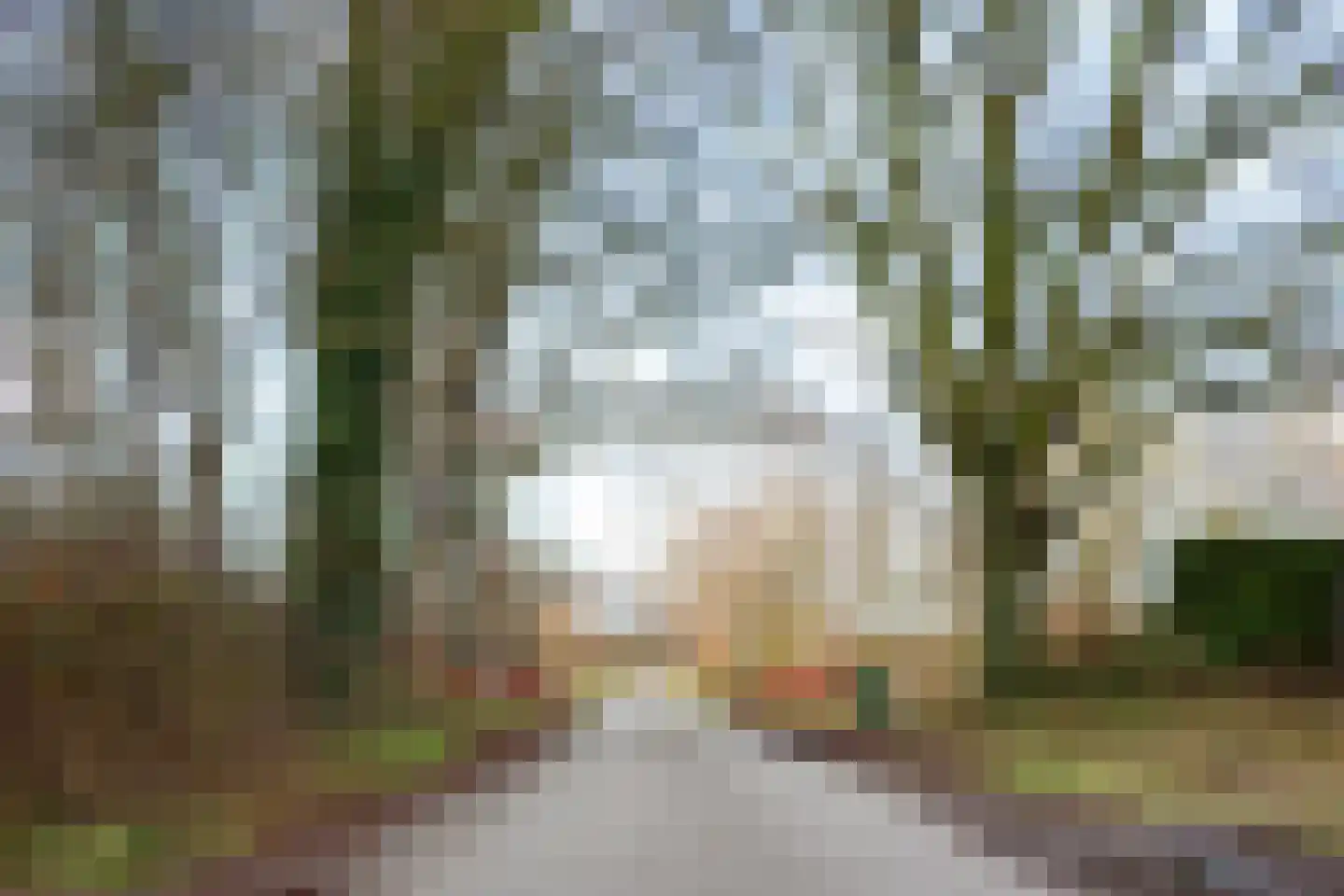 Meekertweg 8 56 Winterswijk thumbnail 47