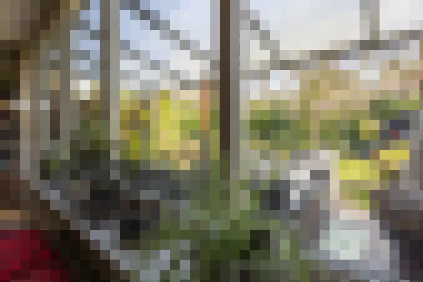 Meekertweg 8 56 Winterswijk thumbnail 7