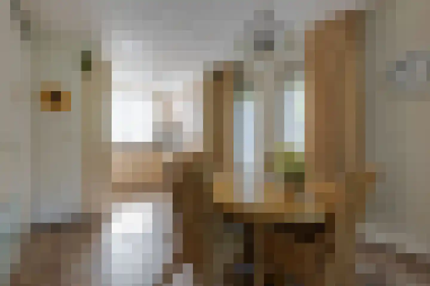 Meekertweg 8 59 Winterswijk thumbnail 10