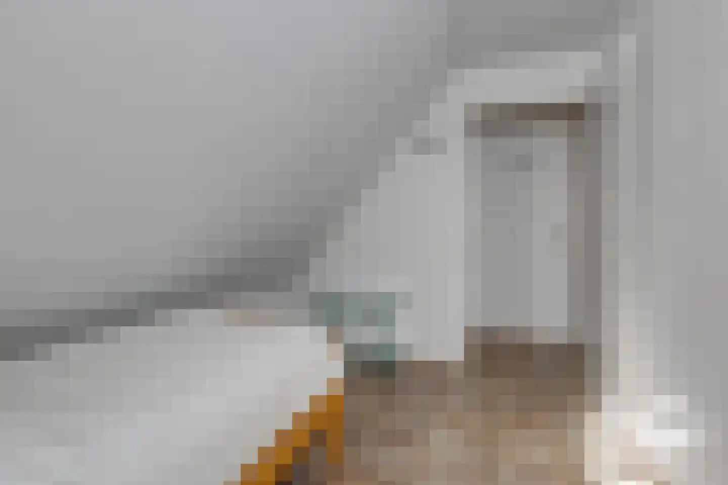Meekertweg 8 59 Winterswijk thumbnail 23