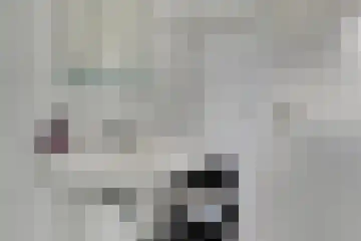 Meekertweg 8 63 Winterswijk thumbnail 20