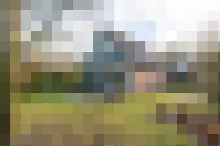 Meekertweg 8 63 Winterswijk thumbnail 33