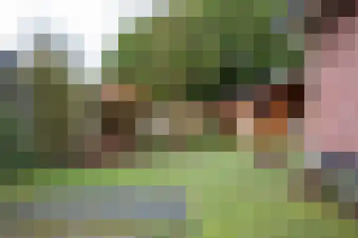 Meekertweg 8 63 Winterswijk thumbnail 35