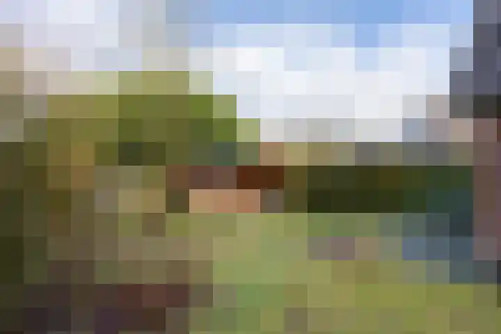 Meekertweg 8 63 Winterswijk thumbnail 36