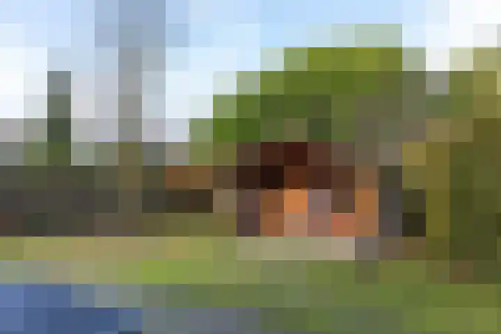 Meekertweg 8 63 Winterswijk thumbnail 37