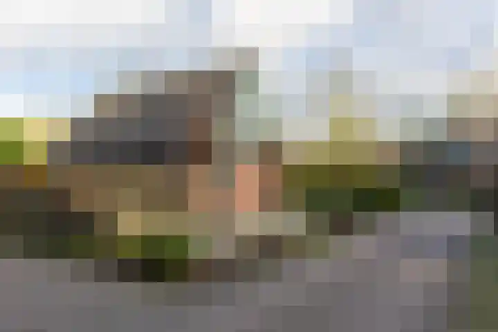 Meekertweg 8 63 Winterswijk thumbnail 39
