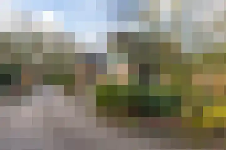 Meekertweg 8 63 Winterswijk thumbnail 40
