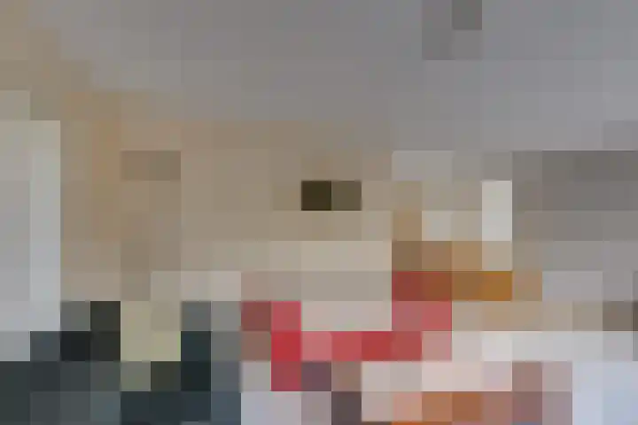 Meekertweg 8 63 Winterswijk thumbnail 9