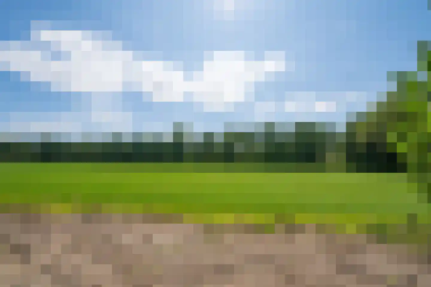 Meekesweg 8 Vragender thumbnail 17