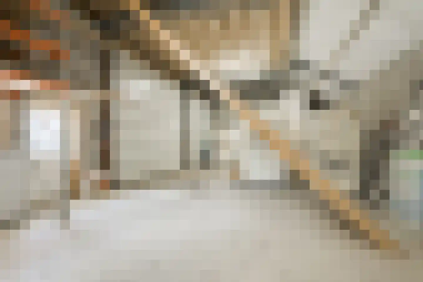Meekesweg 8 Vragender thumbnail 25