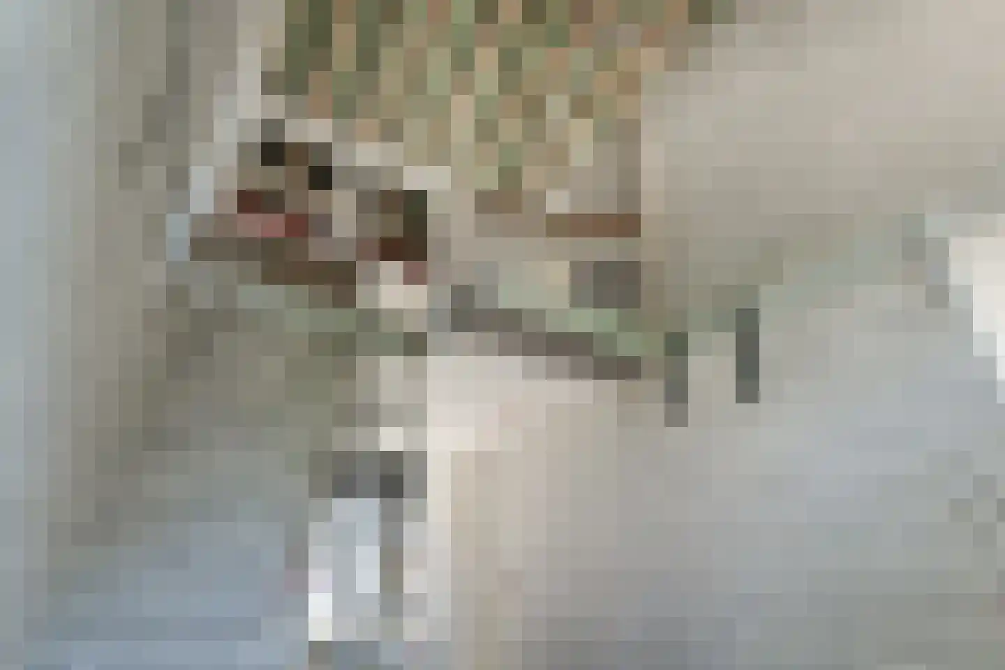 Meekesweg 8 Vragender thumbnail 45