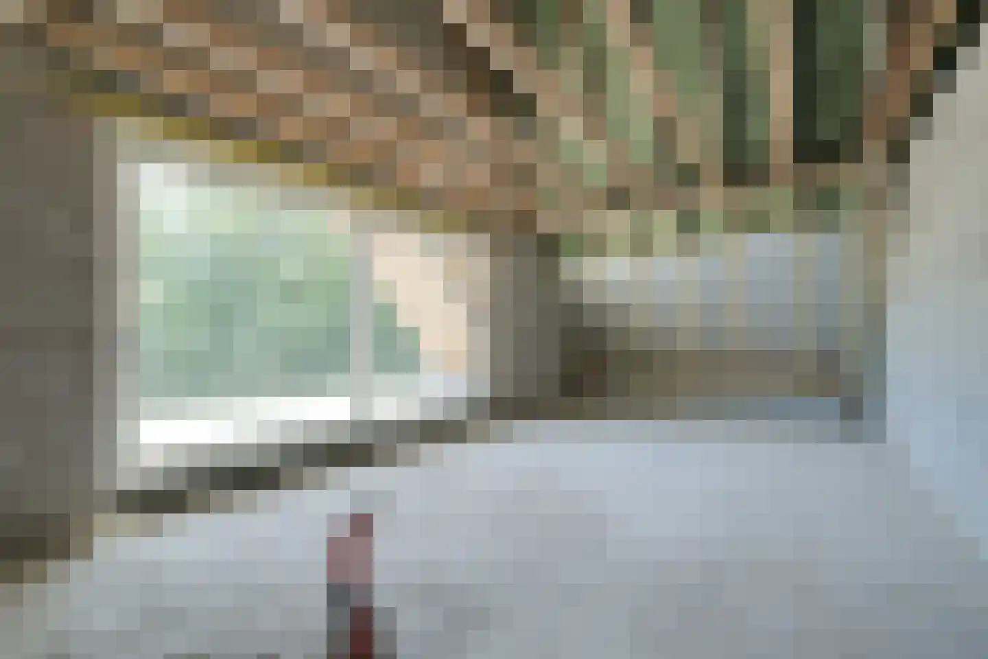 Meekesweg 8 Vragender thumbnail 47