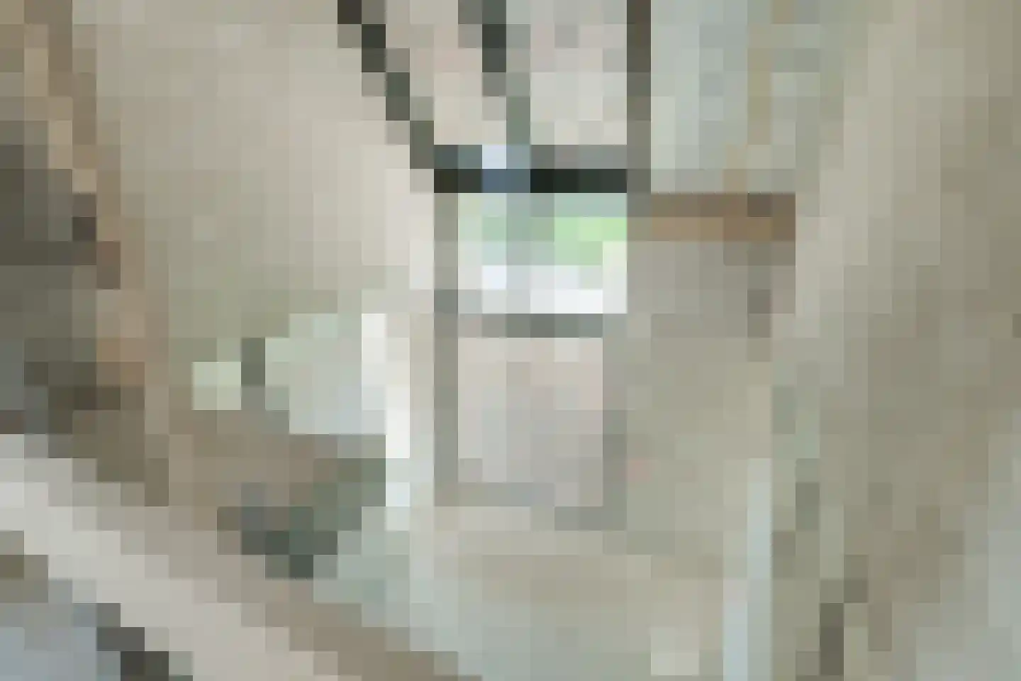 Meekesweg 8 Vragender thumbnail 51