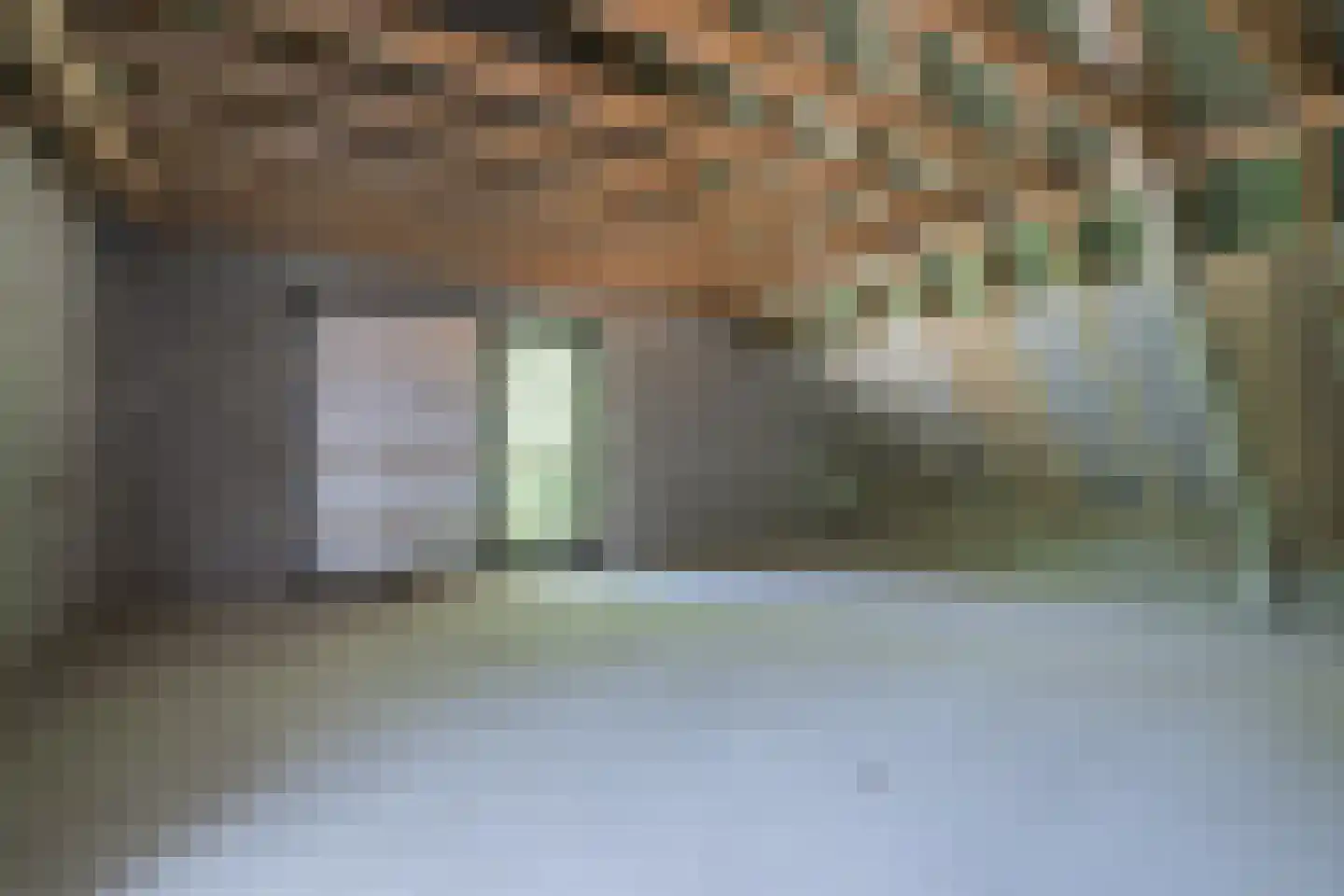 Meekesweg 8 Vragender thumbnail 55
