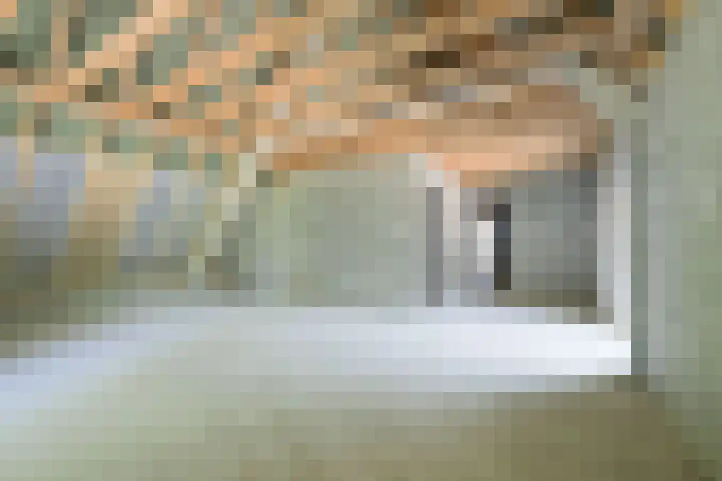 Meekesweg 8 Vragender thumbnail 58