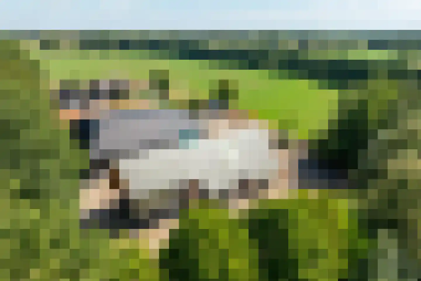 Meekesweg 8 Vragender thumbnail 8
