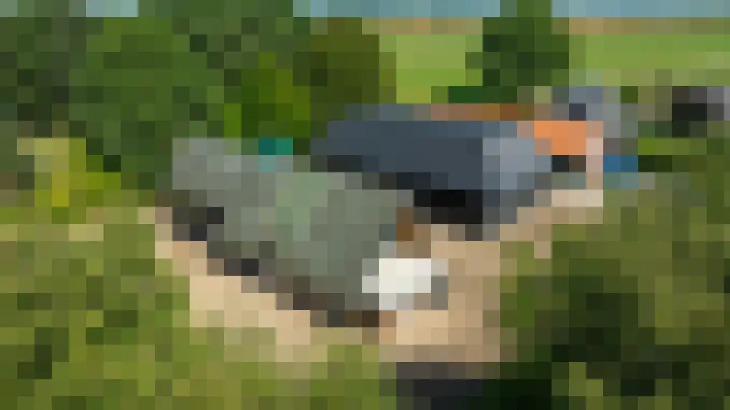 Meekesweg 8 Vragender thumbnail 9