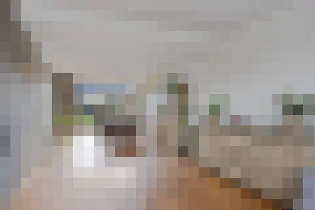 Meekhofsveen 1 Appelscha thumbnail 10