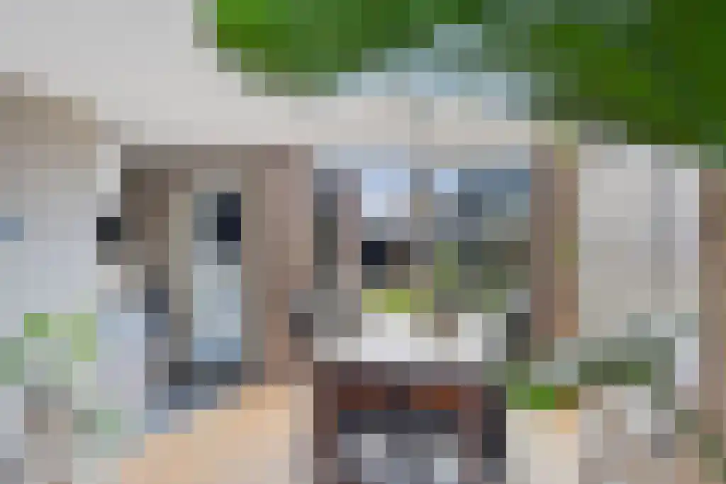 Meekhofsveen 1 Appelscha thumbnail 11