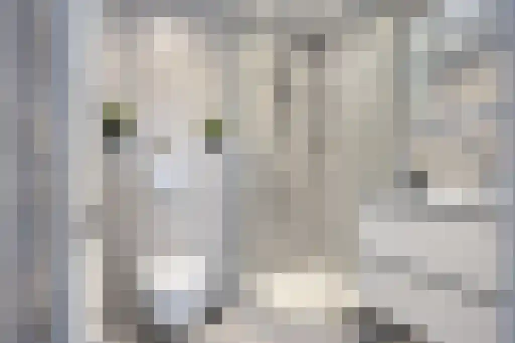 Meekhofsveen 1 Appelscha thumbnail 26