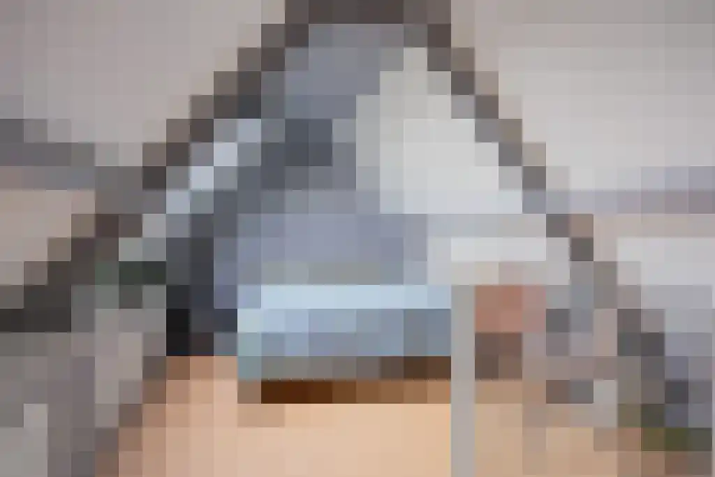 Meekhofsveen 1 Appelscha thumbnail 28