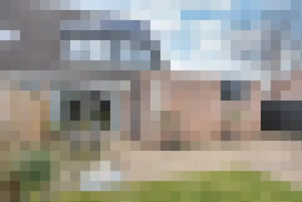 Meekhofsveen 1 Appelscha thumbnail 33