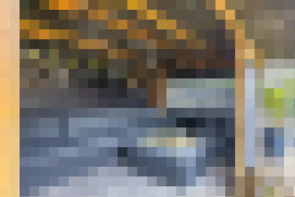 Meekhofsveen 1 Appelscha thumbnail 35