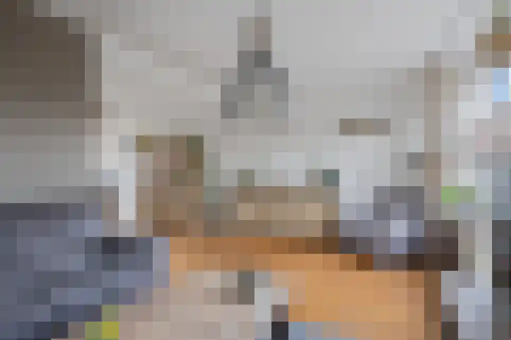 Meekhofsveen 1 Appelscha thumbnail 8